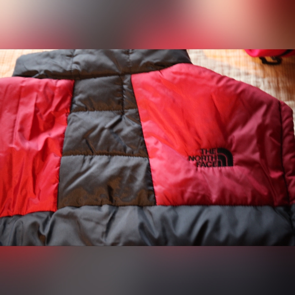 The North Face Vest